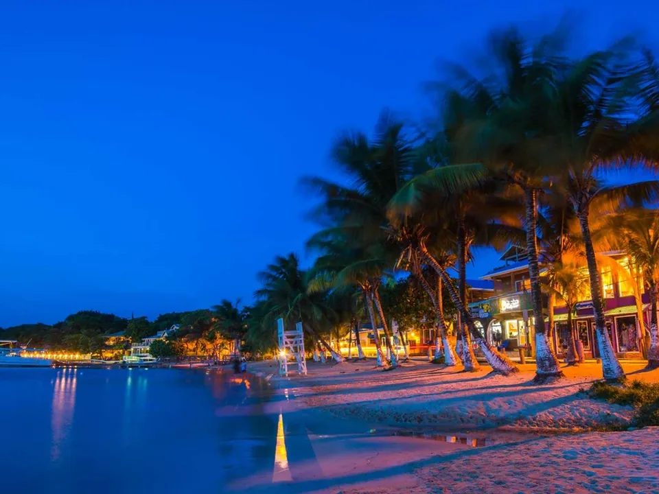 Palm-lined beachfront lit at dusk in Roatán